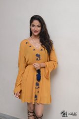 Lavanya Tripathi At Srirastu Subhamastu Movie Trailer Launch